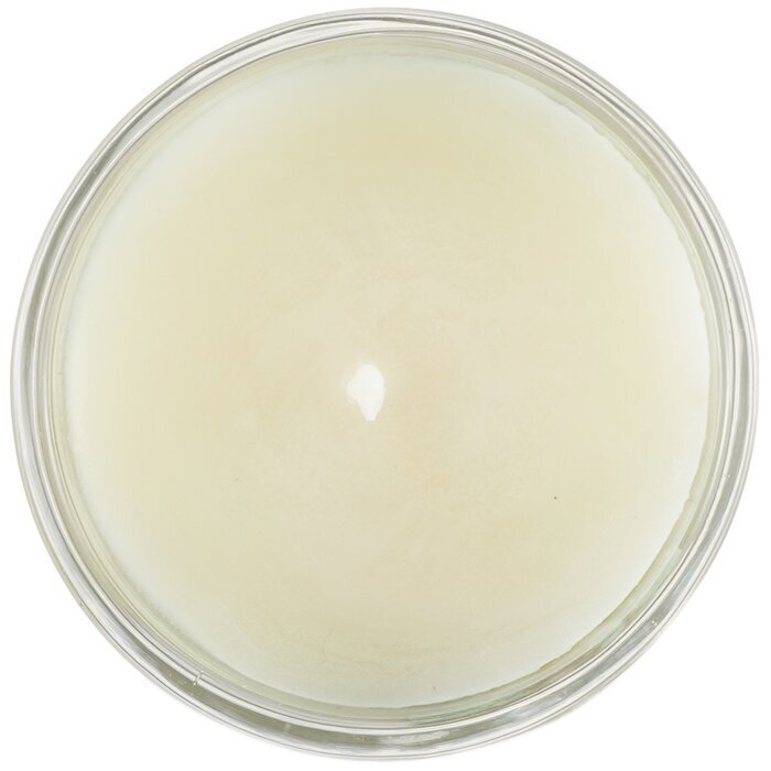 Carroll & Chan Votivkerze aus 100 % Bienenwachs – Tropischer Wald, 65 g