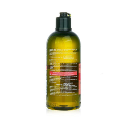 L'Occitane Aromachologie Intensive Repair Shampoo (Beschadigd Haar) 300ml/10.1oz