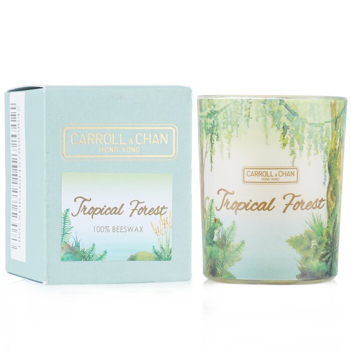Carroll &amp; Chan Votivkerze aus 100 % Bienenwachs – Tropischer Wald, 65 g