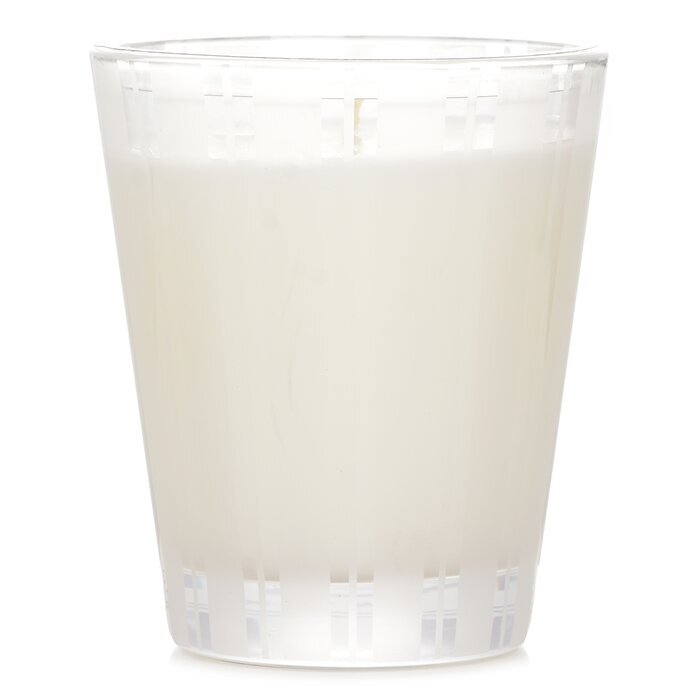 Nest Geurkaars - Amalfi Citroen &amp; Munt 230g/8.1oz