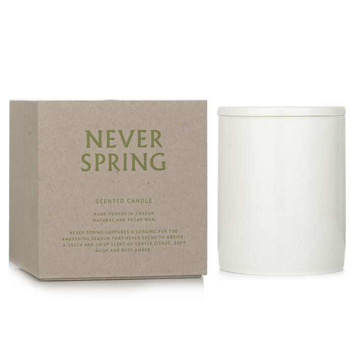 Bjork &amp; Berries Geurkaars - Never Spring 240g/8.5oz