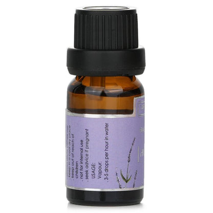 Carroll & Chan Fragrance Oil -  Lavender 10ml