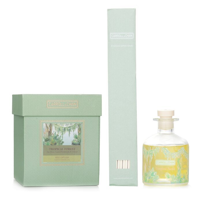 Carroll &amp; Chan Reed Diffuser Nachfüllset – Tropischer Wald (Meeresmoos, Küstenmammutbäume und Vetiver) 200 ml
