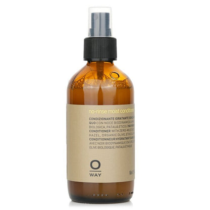 Oway No Rinse Moist Conditioner 160ml