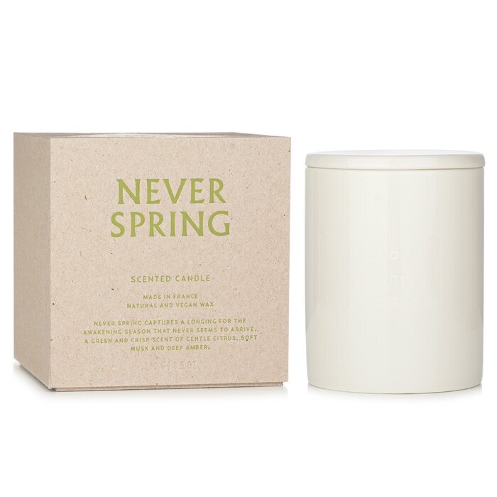 Bjork &amp; Berries Geurkaars - Never Spring 240g/8.5oz