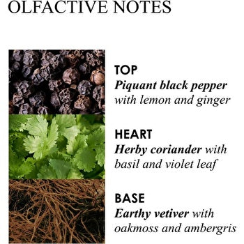 Molton Brown Infinite Bottle Re-Charge Black Pepper Bath and Shower Gel 400ml