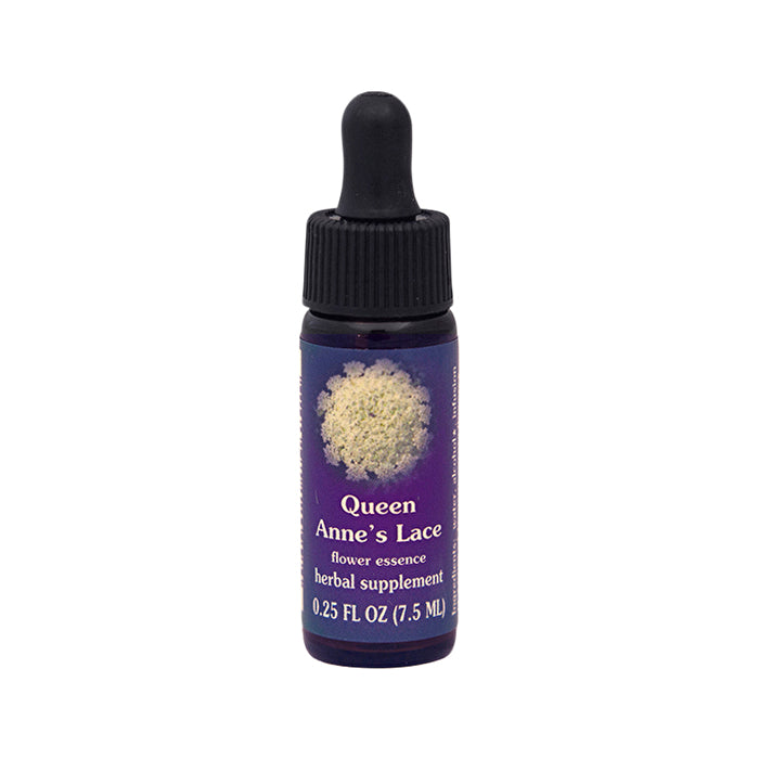Fes Organic Quintessentials Flower Essence Queen Annes Lace 7.5ml